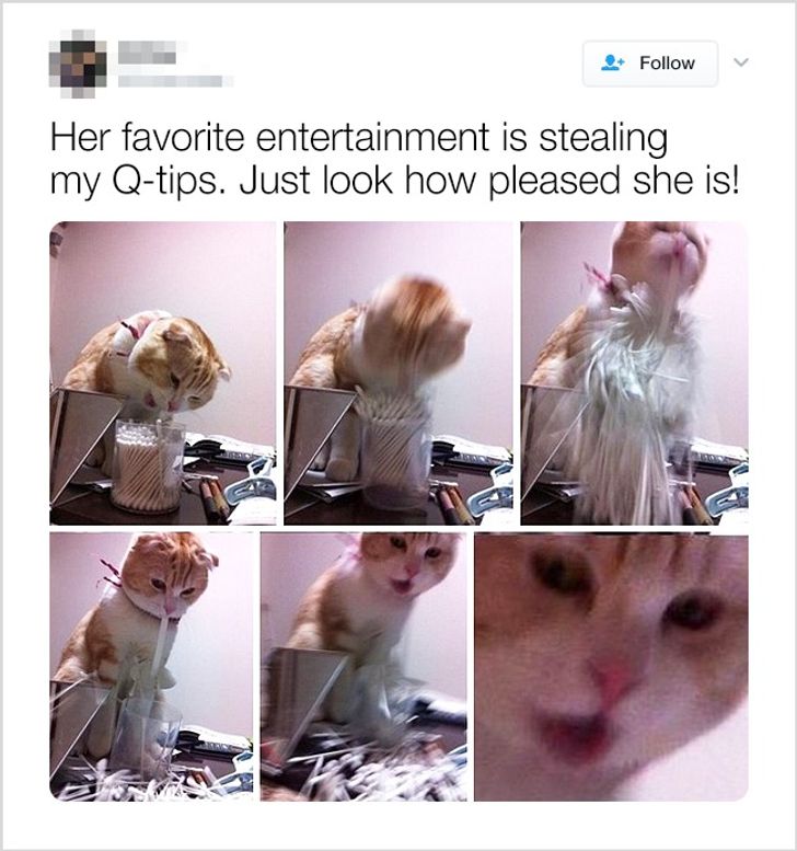 c3c5a95fb6b3dc35d14ce40fc1