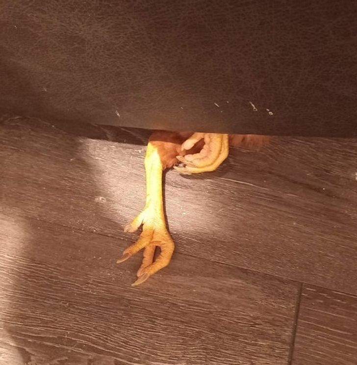 c3c7505f519df83f250e57a244