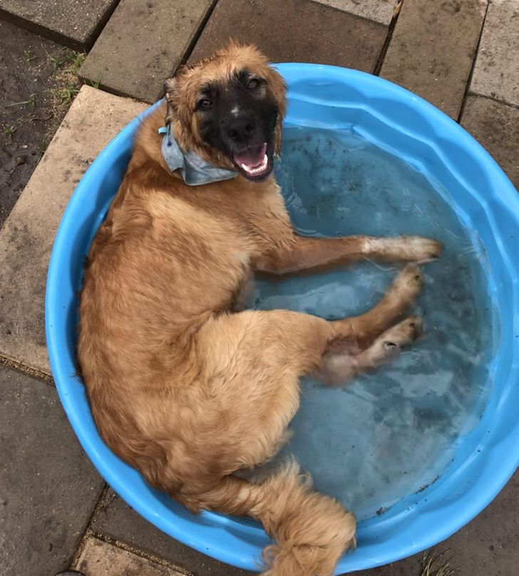 c3cdb3506d9b1b380e3f7f52ec