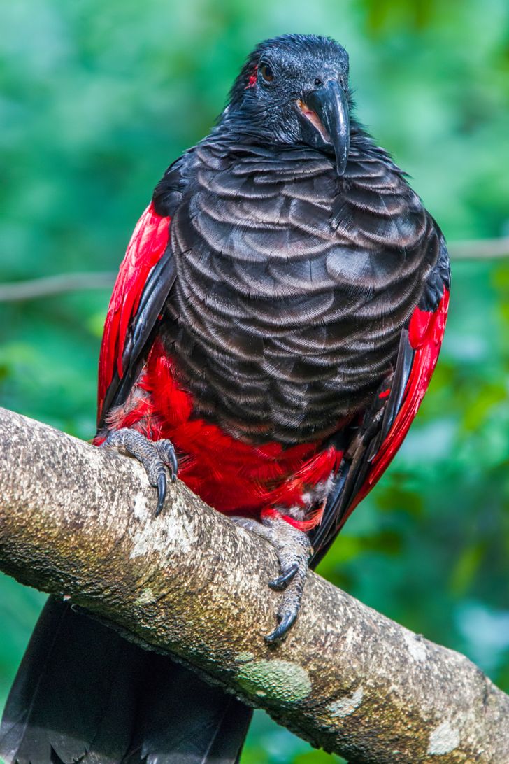 c3d6925b8e9e2940d7d12de3b1