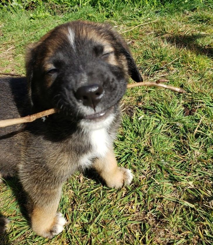 c3dbea54089303022ff8823e0e