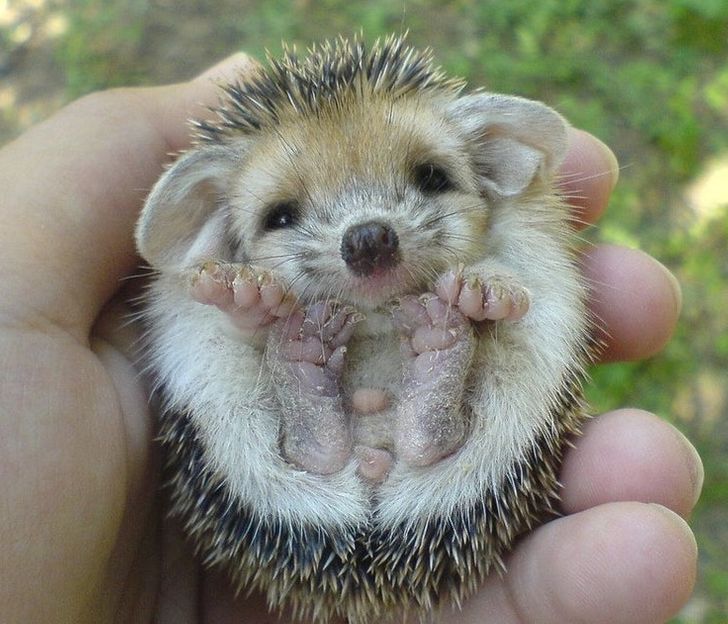 c3edae5389864cdd1fbf97658c