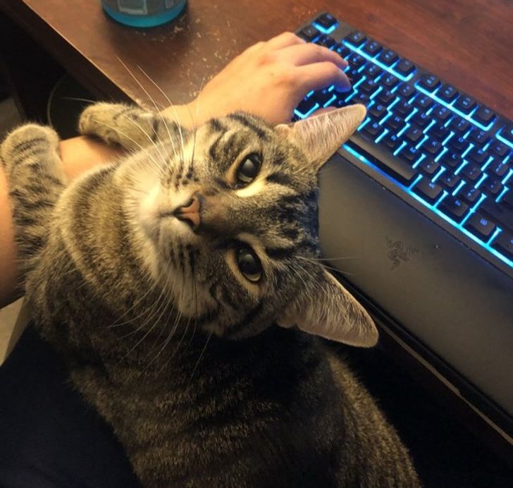 c3f8f252bd9ef7af4954d4ba92 c3f8f252bd9ef7af4954d4ba92