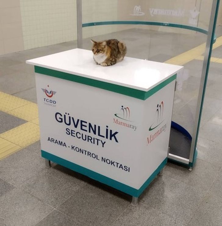 c3fb47537d80bfd36a76b6a73f