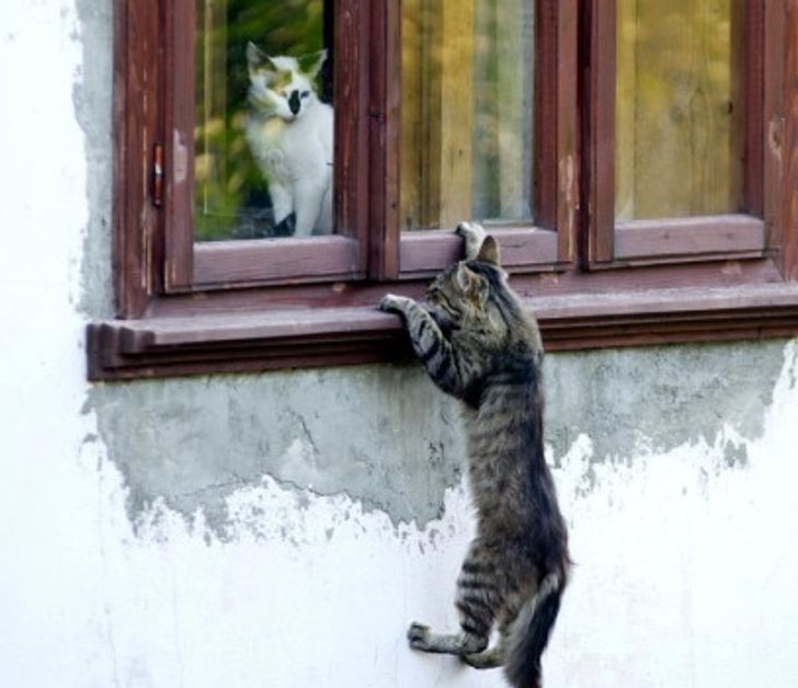 c403ae56368edc5dd11adb3503