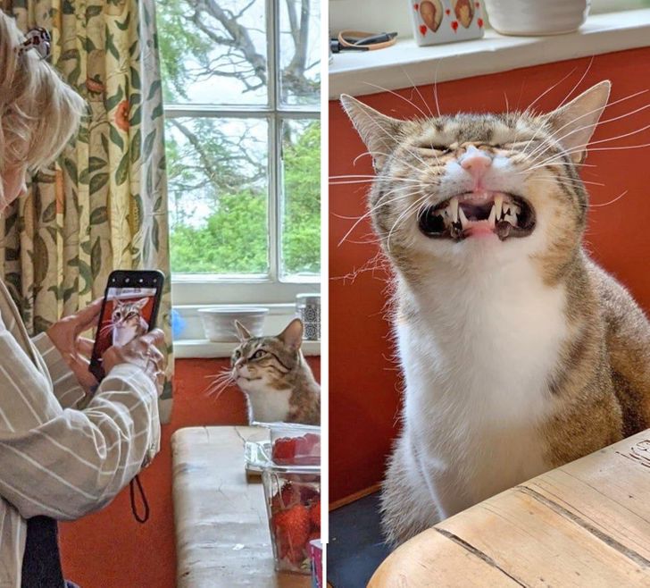 c406e857c8b5ef3649b74a2f1a