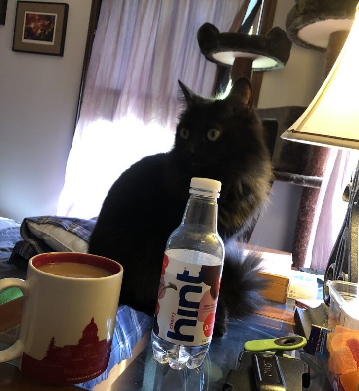 c4144a52db99b545abe43e5dbb