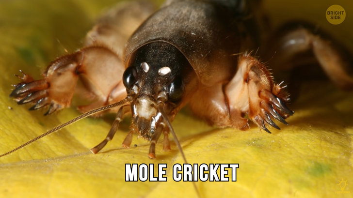 c41b04538b9cfd618d7bc75082