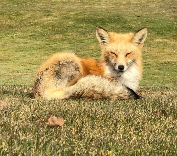 c41f4f599cb878c0bcb11f2401