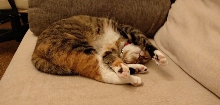 c41f645381afc76d1c8ce4ea22