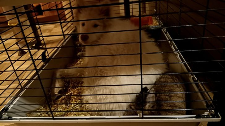 c422aa56e78d41a108cf158cfb