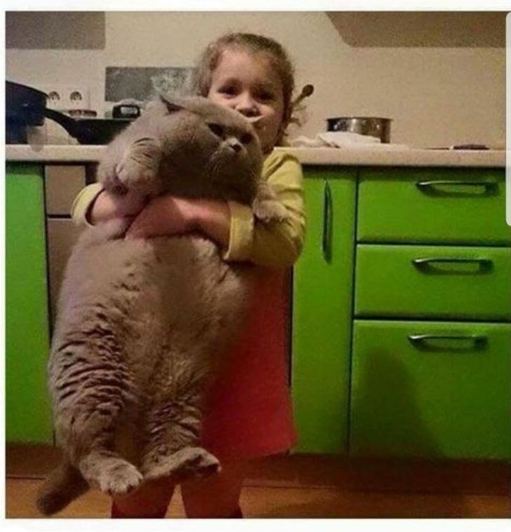 c423d55201a8a60d94dd2ff92e