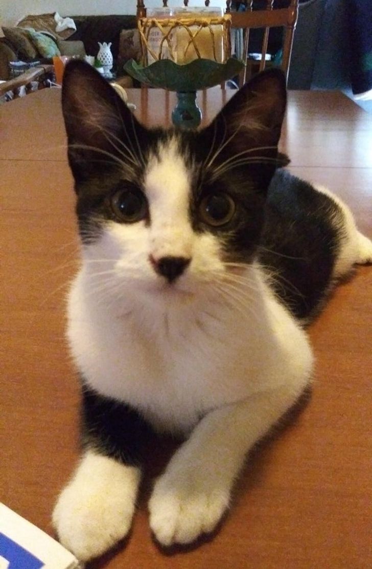 c4243351d1bd173f27a487fa1b