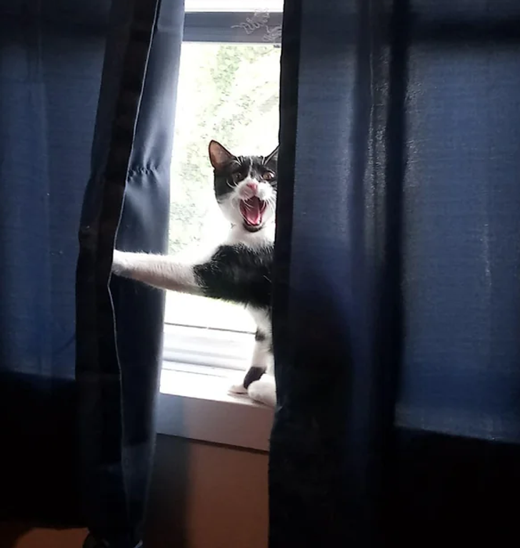 c42c16550db4bee72392f2b76a