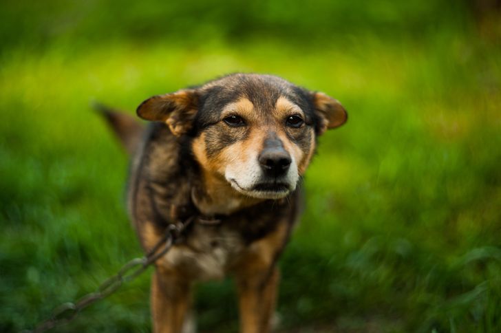 c432c8500f8301ab6bf1ced921