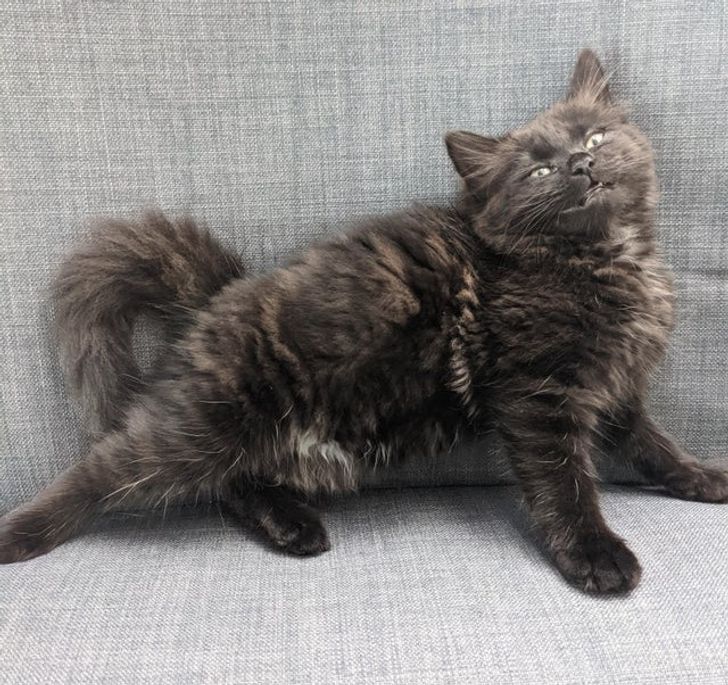 c4348f5645a74751834b407b0d