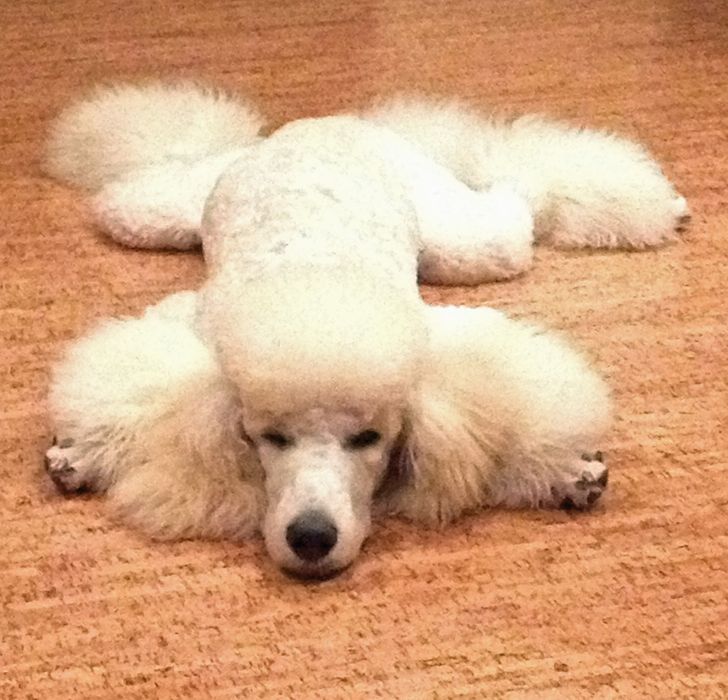 c436d85aaab942c6cef17b00a3