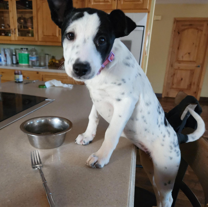 c43df650fda2da79330defb668 c43df650fda2da79330defb668