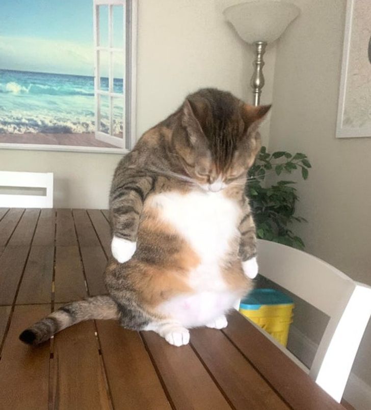 c43ee15505bed31f4bcb59d64d