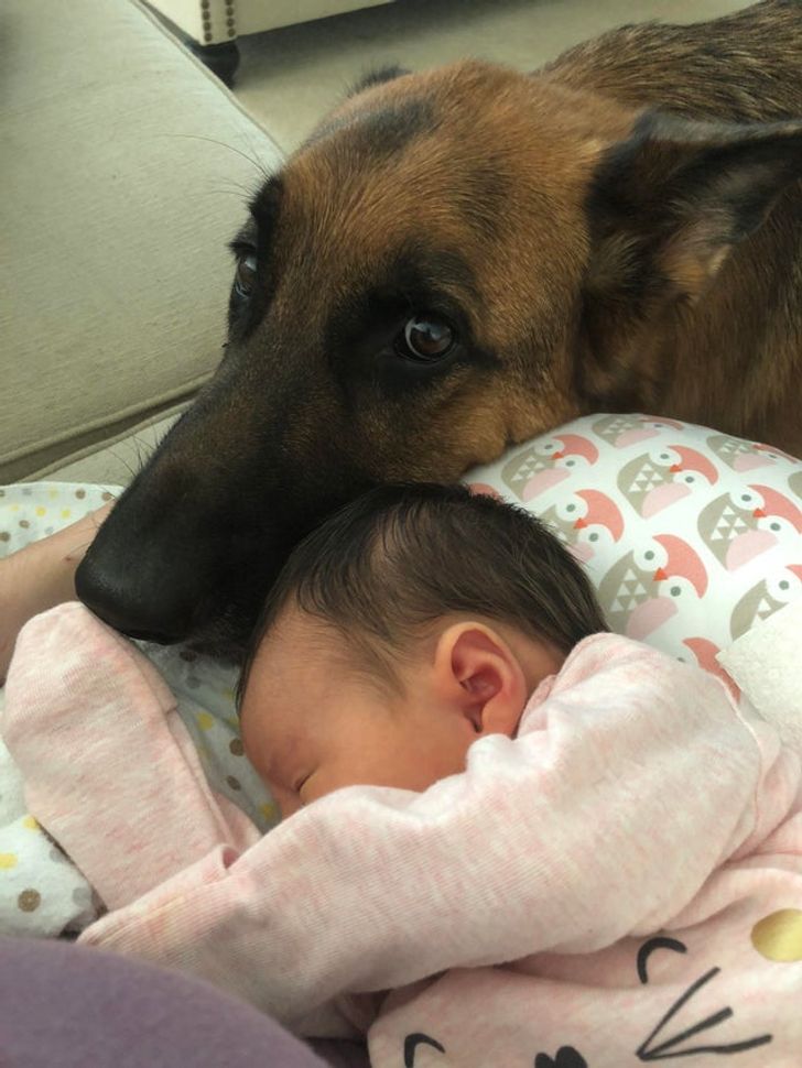 c4488a593dbff064c6e0742059