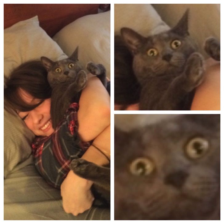 c44ab45a43831463f96c92bec2