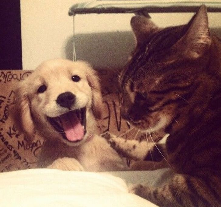 c453645555974bc73c98cd2b50