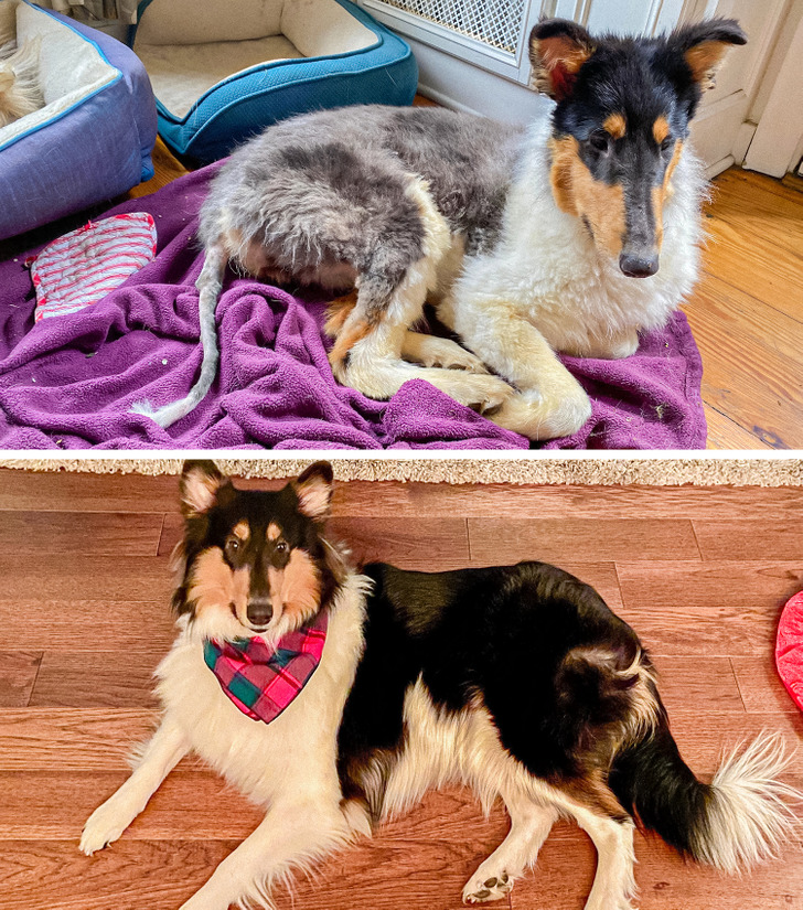 c45d1053fc9fab434b5718871f c45d1053fc9fab434b5718871f