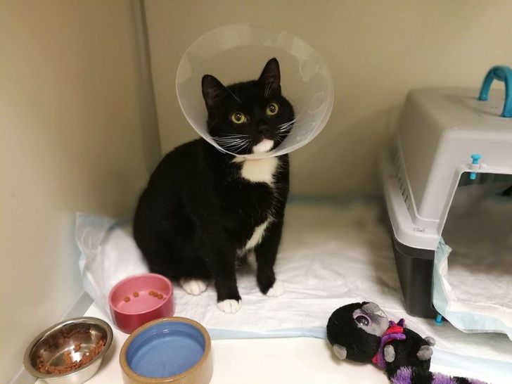 c45e2a51e0a506eeb865aa2fd5