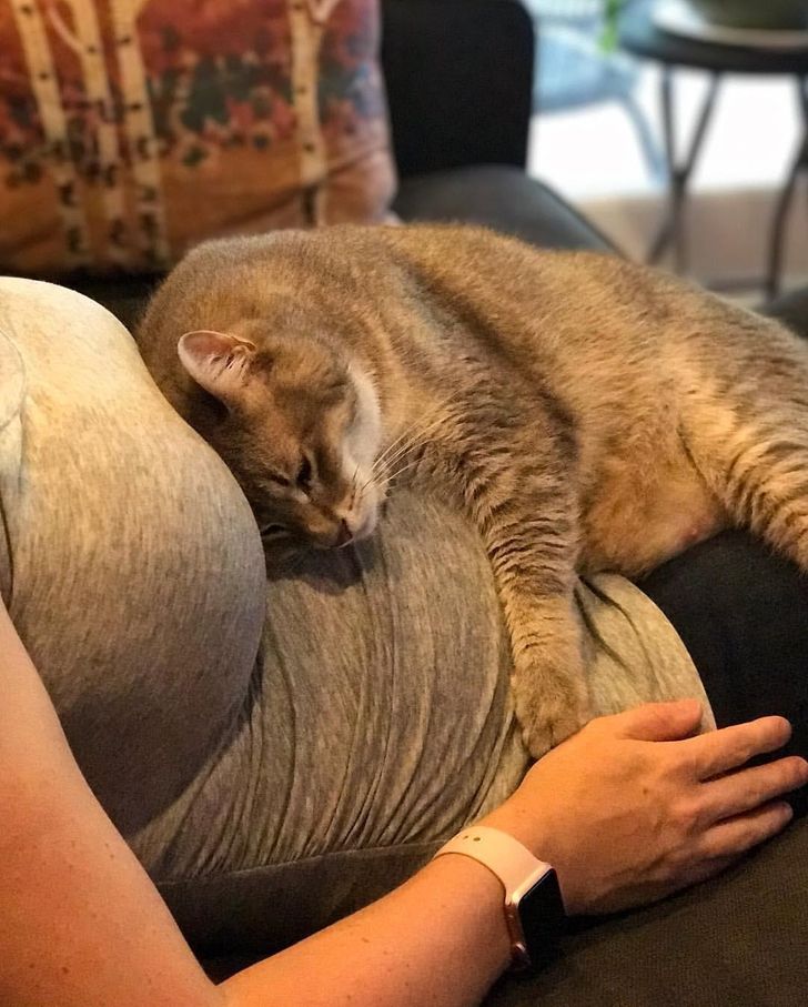 c462f757208f39173de61ee1eb