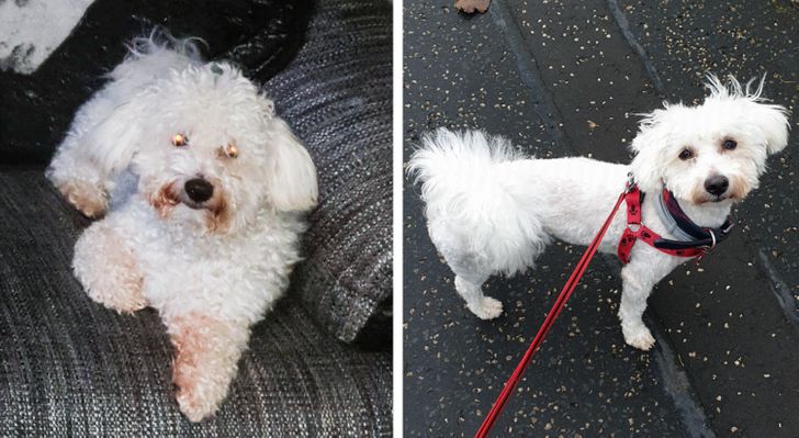 c4666d531ab2ea5d667f8e41fc