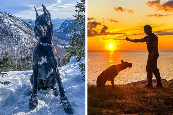 c46b3f531e85ea9c9af78030ff