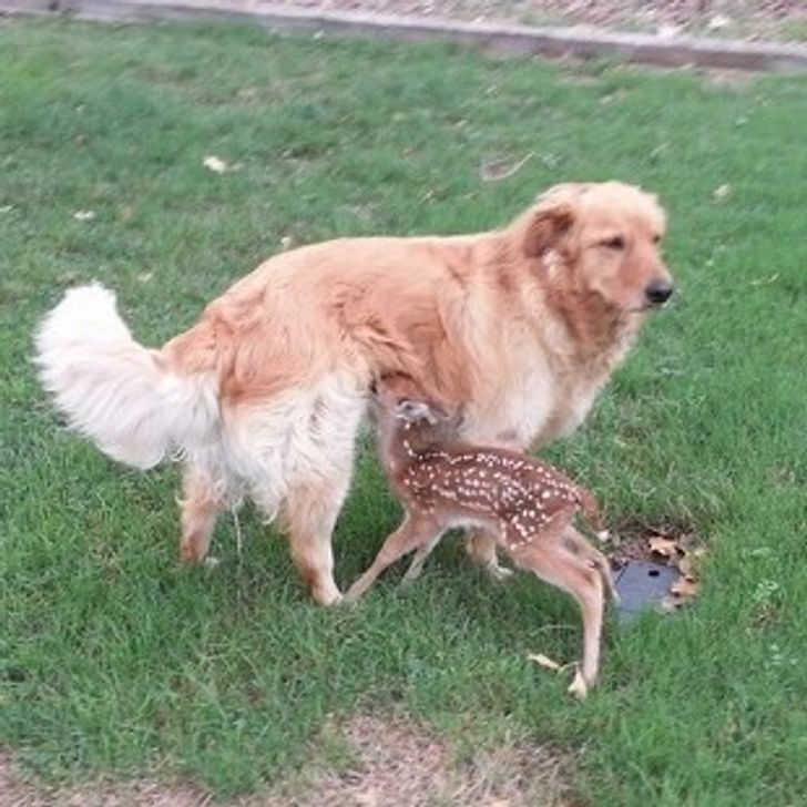 c470405d159c183e61952caa82