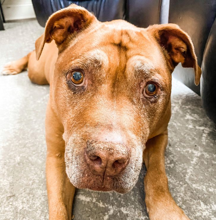 c47f3350f98f685c01ffea6796