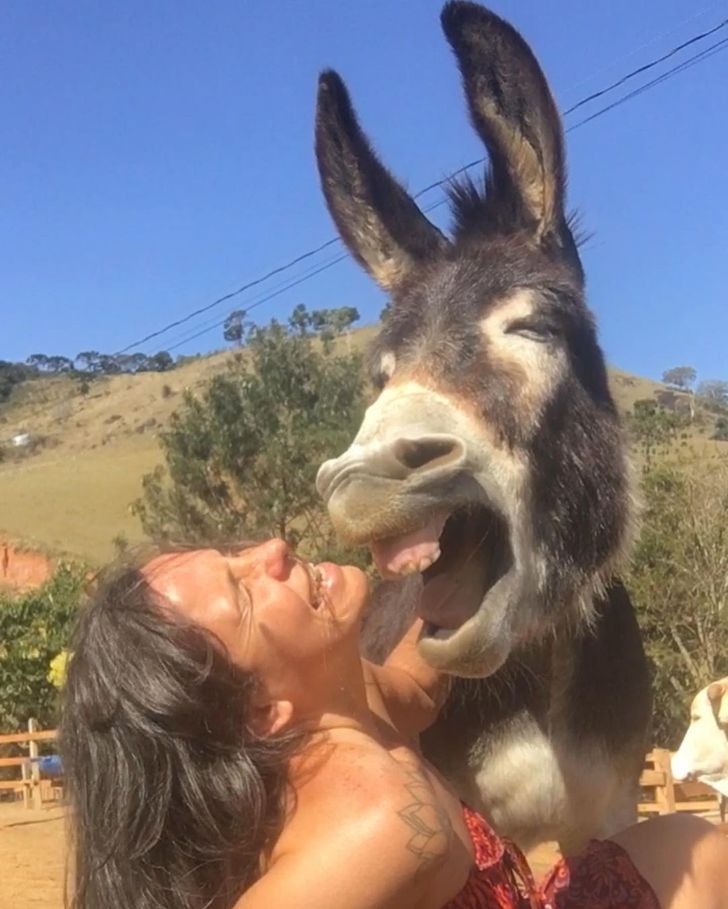 c48ddc59889b8699c4ce935542