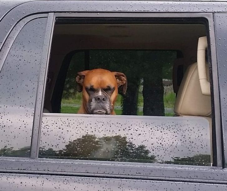 c4a487590cba21121f1113a54f