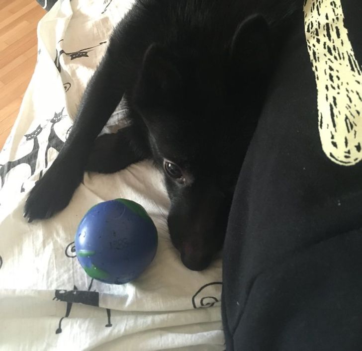 c4a7c55274bb09eb65b8cfaea1