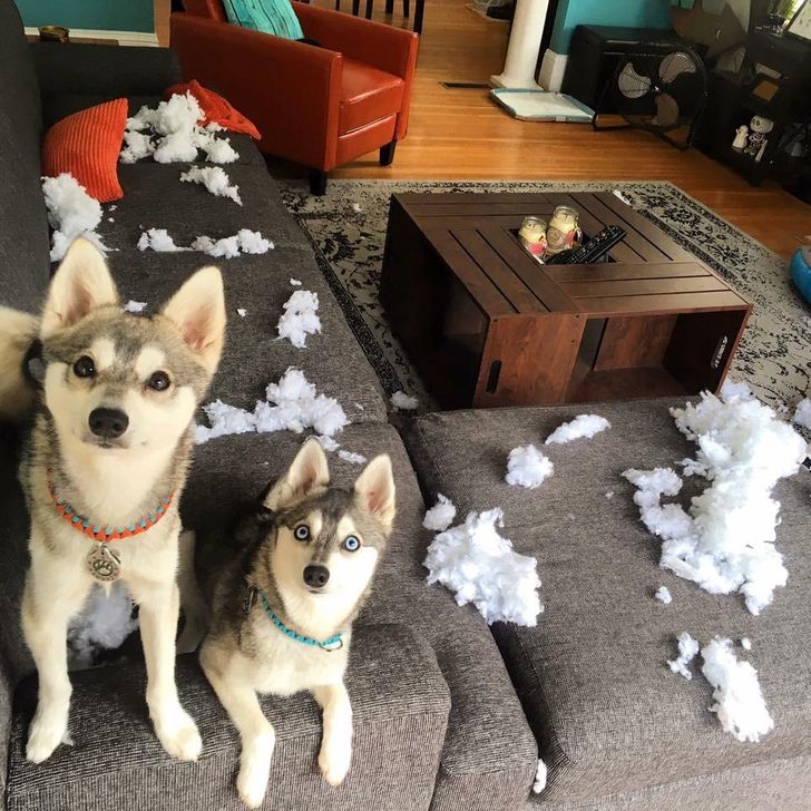 c4aabf5207bc1f38066488b73c