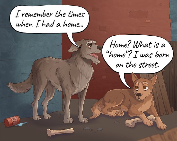 c4abb75cd68e1bd98f44aef904