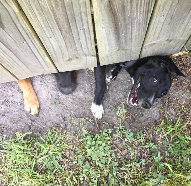 c4ace25ecba60021517265b4f9