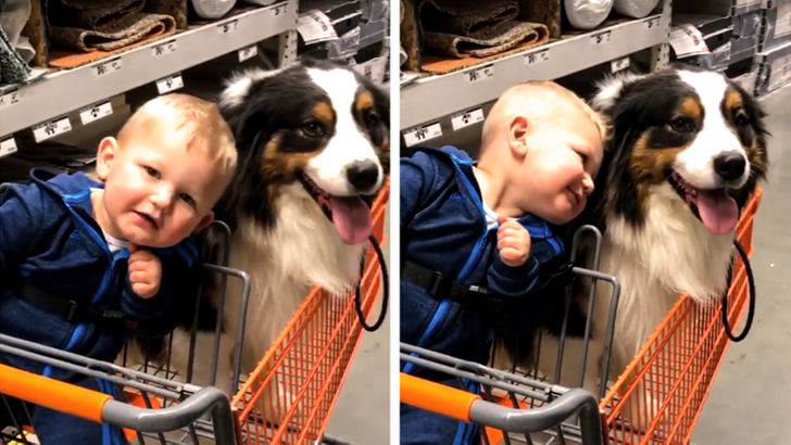 c4b4b25d07a86665b965a022d4