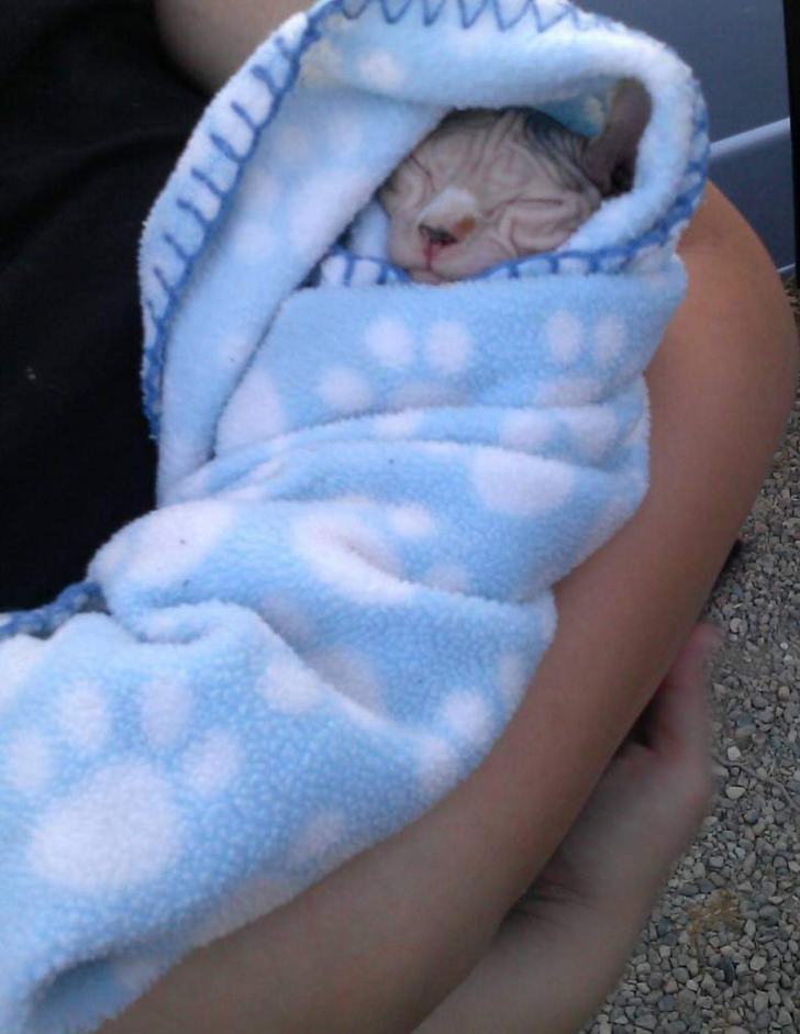 c4c0ef55f1a0a7160e0611b29d c4c0ef55f1a0a7160e0611b29d