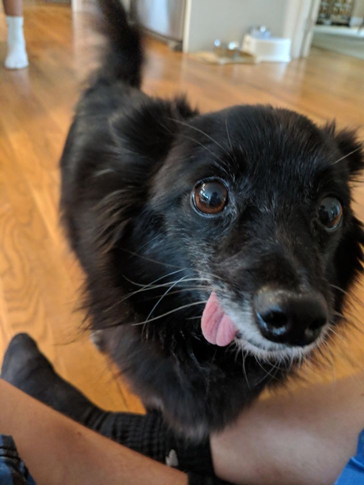 c4c1be56158632f190a1ee47ff c4c1be56158632f190a1ee47ff