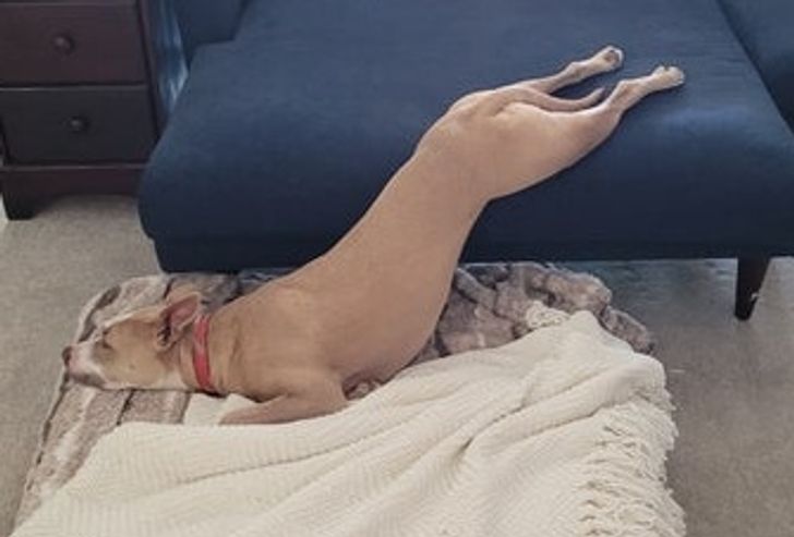 c4d3aa52d9a0bd8cfaa104d27f