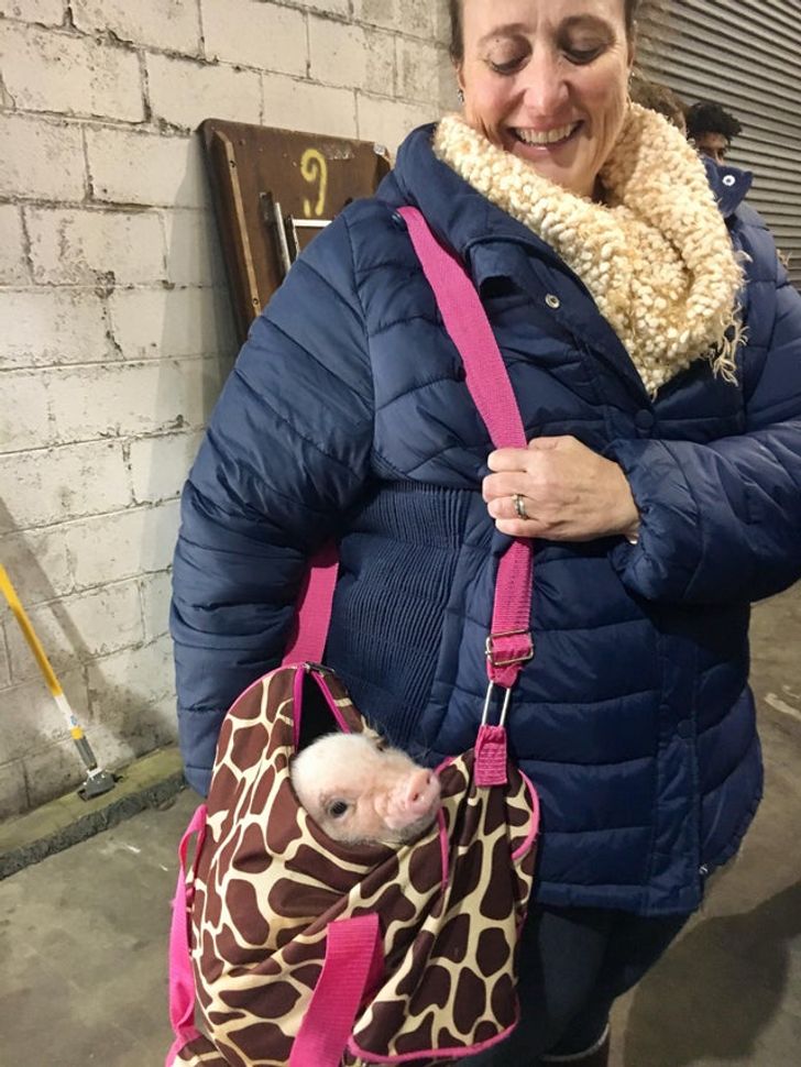 c4d3e0565c88e3f5851d1f4319