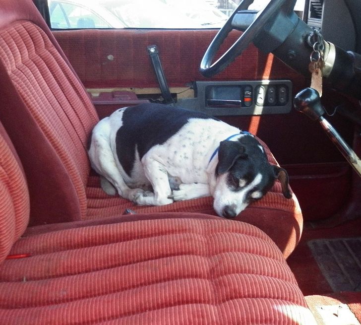 c4db0351c2b351837101e2c5ab