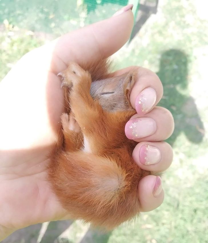 c4ddcc5fb49deae268d460d837