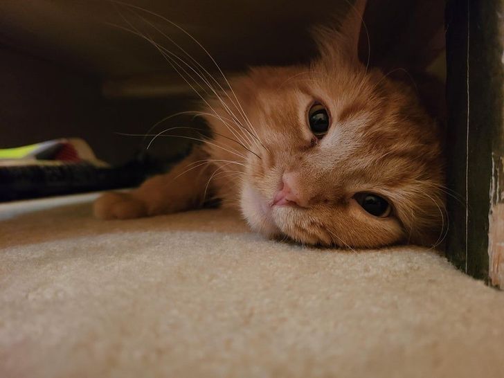 c4e128501bb82b57f60904c5f7