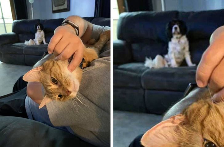 c4e72657f8877e1a65108739e3