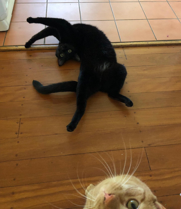 c4ec785b93a5d48988920adb4b