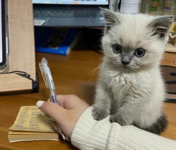 c4ed1457cf99d4468d8e3ea4f6